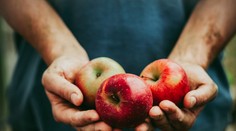 Stačí iba jedno jablko denne a budete žasnúť, čo spraví s telom i mysľou