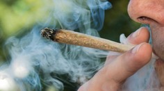 Koaliční poslanci navrhli znížiť sadzby za marihuanu, Kolíková to kritizuje