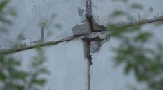 Vzácne vtáky, ktoré sú u nás veľkou raritou, hniezdia v rozostavanej bytovke na východe Slovenska