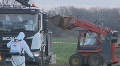 Majiteľ farmy prišiel o živobytie. Agresívny vírus vtáčej chrípky mu zlikvidoval celý chov hydiny