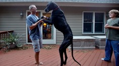 Svet prišiel o rekordéra