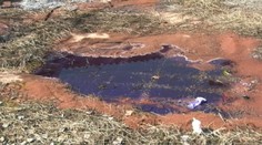 Prichytený pri čine. Pozrite sa, aký "sajrajt" vylieval v prírode