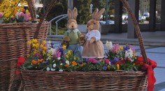 Mestá sa tešia z veľkonočnej výzdoby, vandali ju ničia. Ulice ožívajú farbami