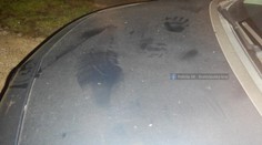 Muž v Bernolákove vyskakoval na kapoty idúcich áut. Jeden z vodičov zrážke zabrániť nedokázal