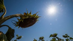 Horúčavy, aké tento rok ešte neboli. Meteorológovia pre 10 okresov vydali najvyššiu výstrahu