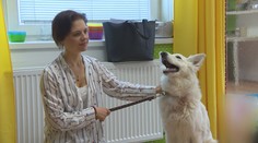 Rodinná tragédia doviedla pani Danu k anorexii