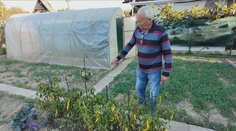 Senior zo Svidníka je príkladom ukážkového záhradkára. Ukázal nám, ako skladuje úrodu