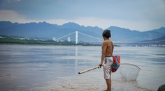 Dve z najväčších sladkovodných rýb sveta oficiálne vyhynuli