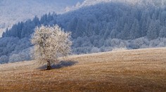 Náhradní užívatelia pozemkov majú poslednú možnosť si ich udržať: Pribúda im ale povinnosť