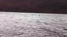 Lochneská príšera konečne na videu?