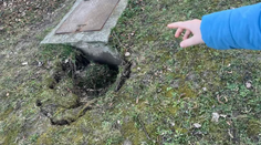 Zem sa pod chlapcom prepadla cestou zo školy. Diera v bratislavskej Rači vystrašila rodičov