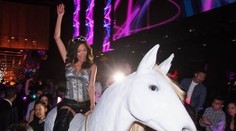 VIDEO: Panika v nočnom klube. Splašený kôň zhodil striptérku a pohrýzol niekoľko ľudí