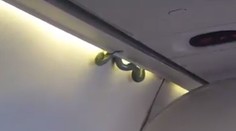 Cestujúci skoro odpadli. V lietadle im nad hlavami visel zelený had