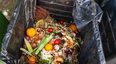 Alarmujúce čísla o plytvaní. Na Slováka ročne pripadá 100 kg potravinového odpadu