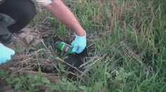 Najskôr cítili smrad, potom strach. Denne im lejú niečo na polia