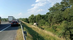 Tragická nehoda na diaľnici v smere do Česka. Nákladiak skončil mimo cesty, vodičovi už nedokázali pomôcť