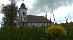 Agresívna huba napadla kostol. Išla na to od podlahy