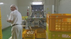 Máte ešte nevyčerpanú dovolenku? O tom, čo s ňou, môže za vás rozhodnúť zamestnávateľ