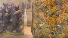 Neplodnosť sa dá liečiť aj bylinami. Účinná je najmä na uvoľnenie panvového dna