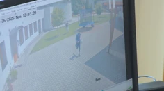 Desivý útok v materskej škole v Leviciach priamo pred očami detí. Zlodeji pri krádeži brutálne napadli učiteľku