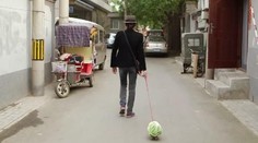 Dôvod, prečo tento muž cestuje po svete s kapustou na vôdzke, vás prekvapí!