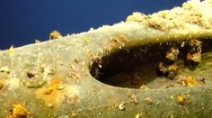 VIDEO: Cenný nález. Po 75 rokoch vypátrali stratenú vojnovú ponorku