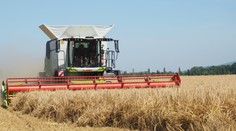 Ničiteľ úrody. Hraboš poľný spôsobuje poľnohospodárom veľké škody, prepočítavajú ich na milióny