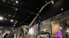 Za 17 metrov dlhú Misty niekto zaplatil 500-tisíc eur