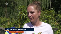 Ohrozujú zvieratá