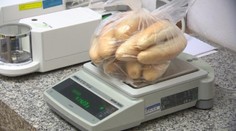 Vážili sme rožky, či naozaj dosahujú uvedenú gramáž