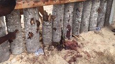 Po útokoch militantov v meste Bangassou hlásia najmenej 115 mŕtvych