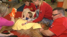 Počuli ste o syndróme mačacieho plaču? Terapia so psami pomôže