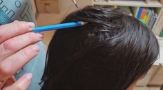 Školu v Dobšinej trápia vši. Deti ich vraj nosia z domu, rodičia sa o ne nestarajú