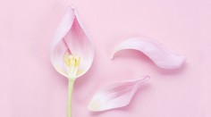 Sú ženy na tom lepšie ako muži? Najnovšia štúdia hovorí opak