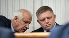 Za poslancov zvolili aj známych športovcov Galisa, Tittela a Vlčeka