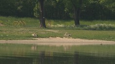 Prvý tropický deň je za nami. Stretli sme odvážnych plavcov na pláži pri Váhu aj lyžiarov