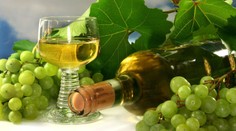 Bielym vínom proti predčasnej smrti. Mohlo by pomôcť znížiť riziko zástavy srdca