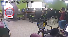 Strach a panika: Had vletel cez škáru do kaviarne a uhryzol zákazníka