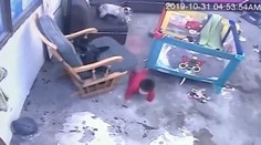 Mačacia "opatrovateľka" je hitom internetu: Kojenca zachránila pred pádom zo schodov