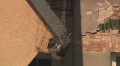 Robotníci ich zamurovali zaživa. Nad hlavami Bratislavčanov sa odohráva dojímavý príbeh