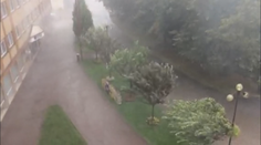 V Poprade zrejme vyčíňal zvláštny úkaz. Silná búrka vyvracala aj stromy