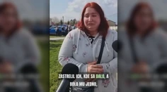 Srdcervúca výpoveď ženy, ktorej utratili zvieratá. Veterinár tvrdil, že ich uspí, napokon ich zastrelil poľovník