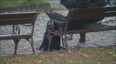 Ďalší brutálny útok na gejov, tentokrát v Nitre. Za bozk na lavičke skončil jeden z napadnutých v nemocnici