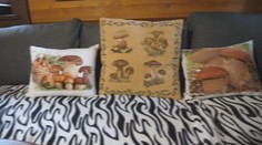 Hubárska vášeň, akú ste ešte nevideli. Pán Július nám ukázal svoju chatku, kde sú samé huby