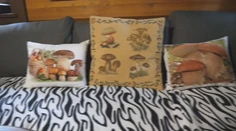 Hubárska vášeň, akú ste ešte nevideli. Pán Július nám ukázal svoju chatku, kde sú samé huby