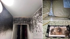 FOTO: „Potkany tu ležia asi mesiac,“ tvrdil zamestnanec. Toto našli v potravinách na Slovensku