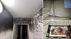FOTO: „Potkany tu ležia asi mesiac,“ tvrdil zamestnanec. Toto našli v potravinách na Slovensku