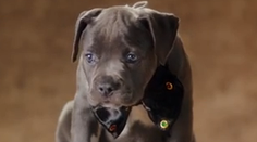 Stačí jeden klik a urobíte dobrý skutok