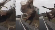 Stačila sekunda. Pozrite si dramatické video, no nezľaknite sa