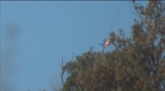 Z čiernej skrinky zostreleného bombardéra sa nepodarilo získať informácie